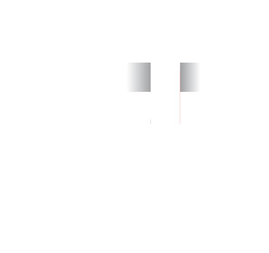 Data Fest